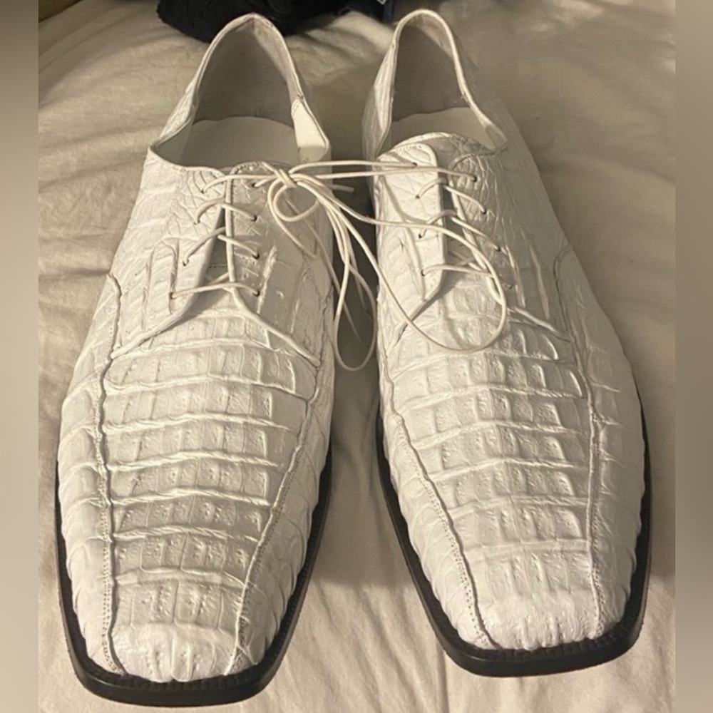 Los Altos boots aligator shoes